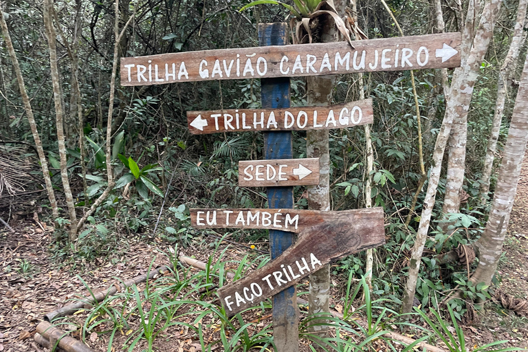 San Paolo: Escursione nella foresta atlantica con un biologoSan Paolo: Escursione di un giorno nella foresta atlantica con un biologo