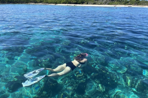 Punta Cana: snorkelen bij het eiland CatalinaVan Dominicus gebied