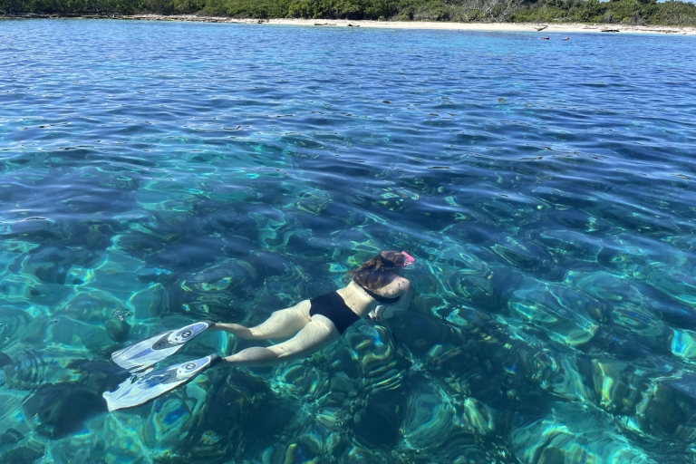 Punta Cana: Snorkeling przy wyspie CatalinaZ wioski Bayahibe