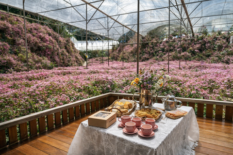 Cameron Highlands Private Day Trip from Kuala Lumpur