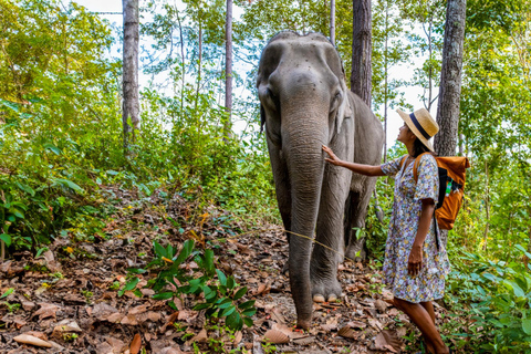 Krabi: Experiencia ética de cuidado de elefantes con traslado al hotelKrabi: Experiencia ética de cuidado de elefantes con servicio de recogida del hotel