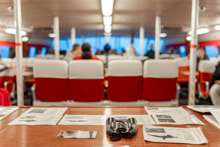 Tromsø: Responsible Whale Watching Cruise Aboard MS Alba