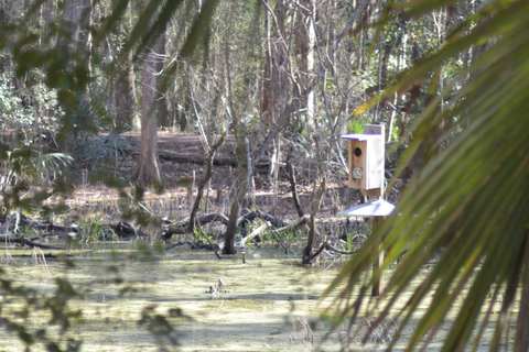 A Day at Magnolia Plantation