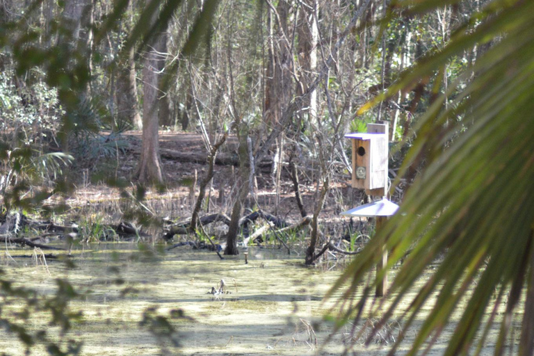 A Day at Magnolia Plantation