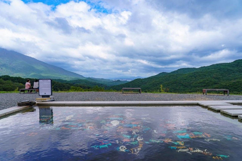 From Busan: Hidden Buddhist Temples Tour Private Day Trip 4-hour Seokbulsa & Hongryongsa Temple Tour