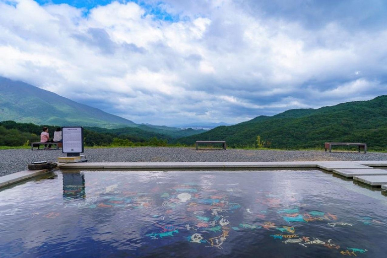 From Busan: Hidden Buddhist Temples Tour Private Day Trip 4-hour Seokbulsa & Hongryongsa Temple Tour