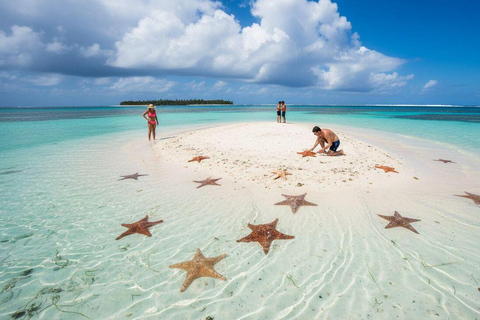 Nungwi:Mnemba Snorkeling,Dolphins, Kayak+Drone & Sunset Dhow Mnemba Snorkeling,Dolphins,Starfish tour&Susnet Dhow