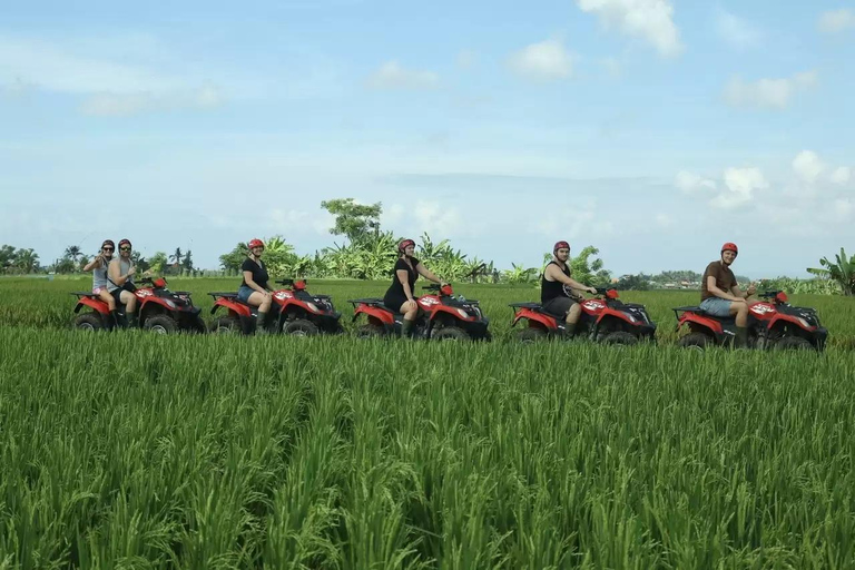 Ubud: Bali ATV Ride Waterfall Temple Cave and Luxury Spa ATV ride single with Luxury Spa in Ubud