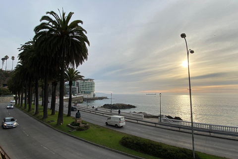 Casas del Bosque: Private Tour with Food Tasting/Lunch + Viña del Mar/Valparaiso