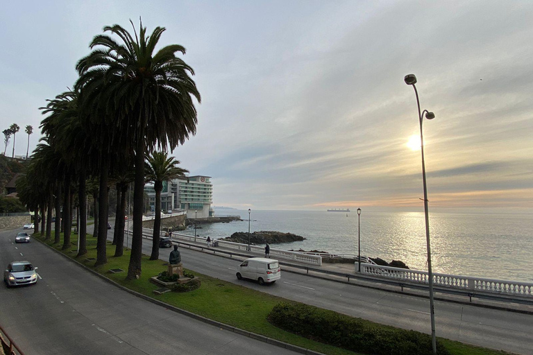 Casas del Bosque: Private Tour with Food Tasting/Lunch + Viña del Mar/Valparaiso