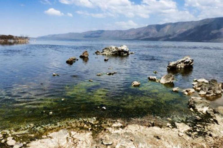 Nairobi: Lake Bogoria Flamingos Day Trip with Hotel Pickup