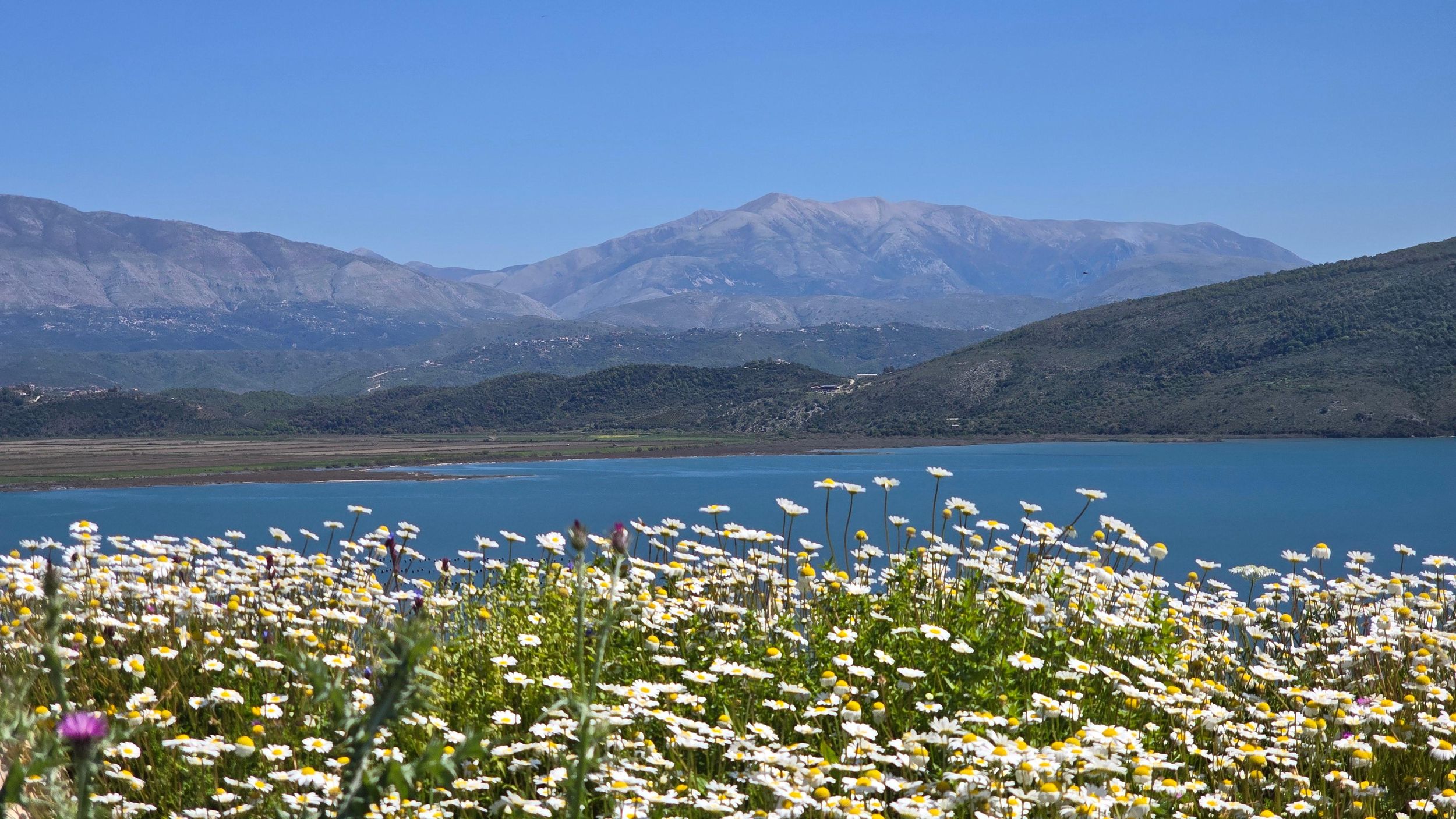Ab Saranda: Tour zu Butrint, Landschaft und Schloss Lekuresi