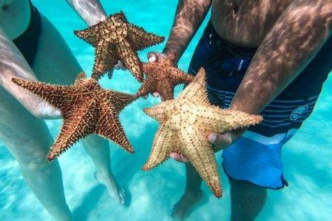 Punta Cana: VIP Saona Island Tour with Drinks and Food Included Punta Cana: VIP Saona Island Tour with Drink and Food Included