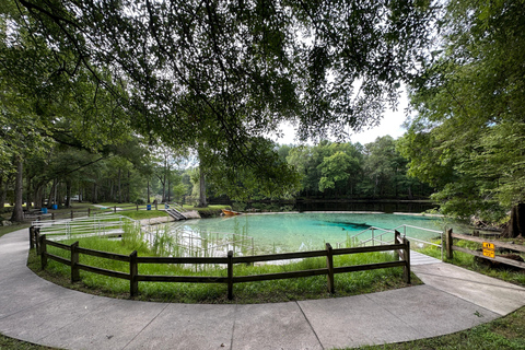 Gilchrist Blue: Clear Kayak Eco Tour