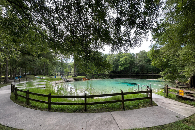 Gilchrist Blue: Clear Kayak Eco Tour