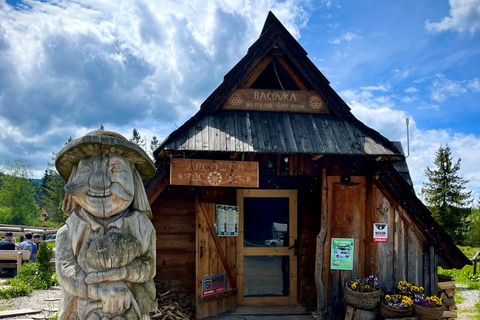 Von Krakau aus: Slowakische Baumkronenwanderung und Zakopane TourTour mit Abholung am Treffpunkt