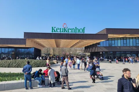 Amsterdam: Keukenhof Tulip Gardens Private Tour