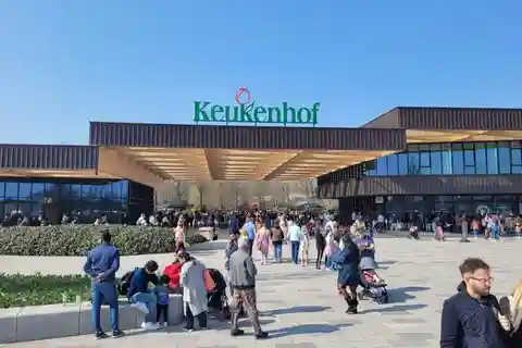 アムステルダム：キューケンホフチューリップガーデンズ プライベートツアー