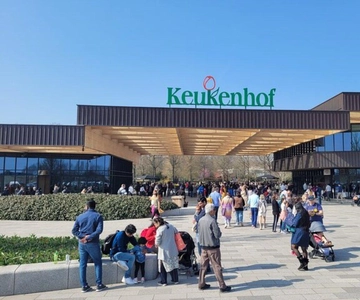 Amsterdam: Keukenhof Tulip Gardens Private Tour
