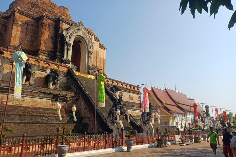 Chiang Mai: Sticky Waterfall, Big Pagoda, and Angels Land