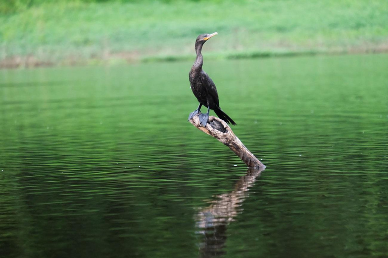 3-Day Amazon Expedition: Jungle, River & Wildlife Tour