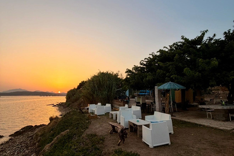 Golfo Aranci: transparent or traditional kayak, dolphins, and aperitif Sunset Tour in a Traditional Kayak with Aperitivo and Dolphins