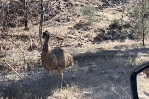 Flinders Ranges - Private All-Inclusive Expedition PRIVATE TOUR