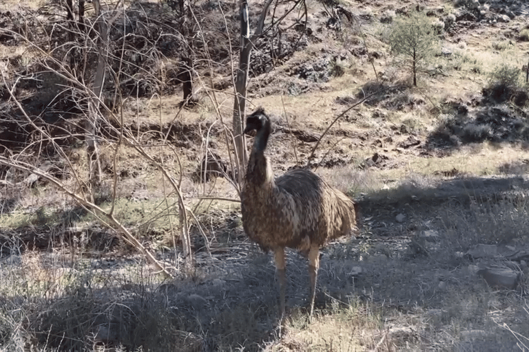 Flinders Ranges - Private All-Inclusive Expedition PRIVATE TOUR