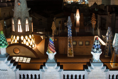 Barcelona: Ingresso para o Palau Güell de Gaudí