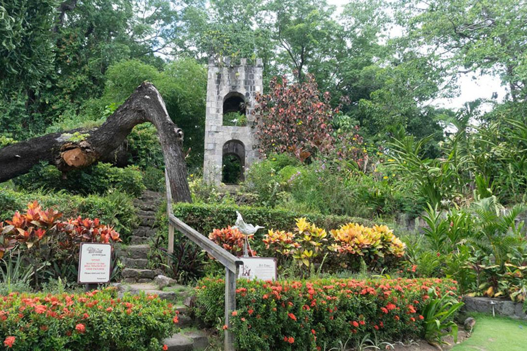 Basseterre Plantation Halbtagestour