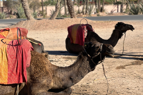Camel Ride Adventure Through Marrakech’s Desert Villages