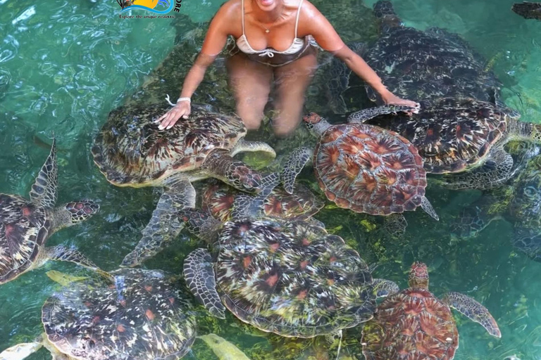 Sansibar: Schwimme mit Schildkröten &amp; transparentem Kajak mit Drohne