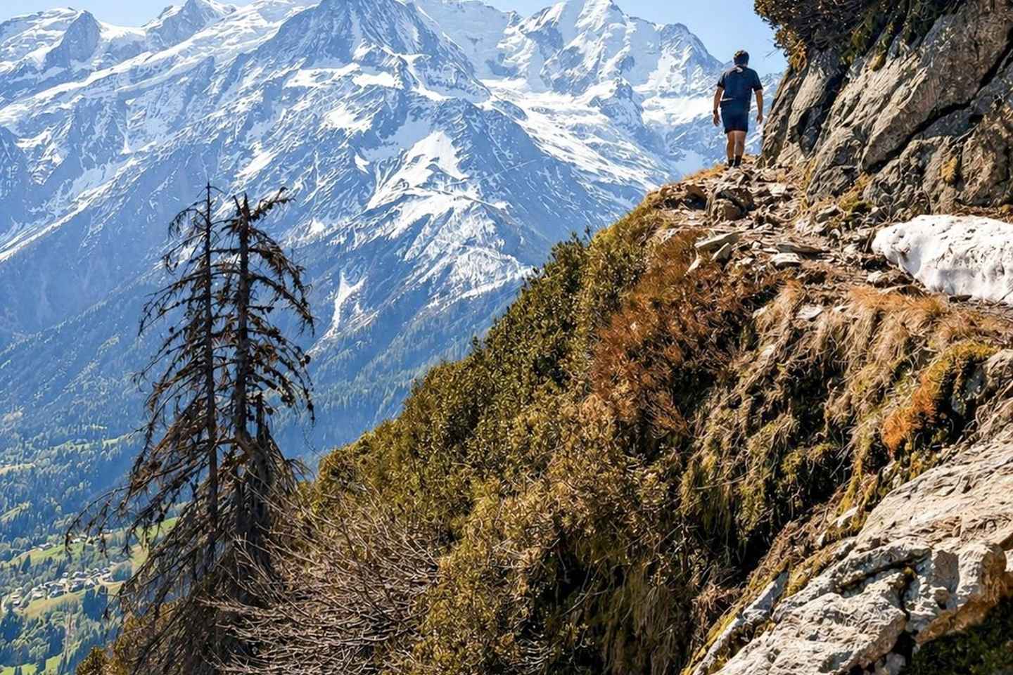 Chamonix: Personalized Guided Hike with Views of Mont-Blanc - Guided Afternoon Hike
