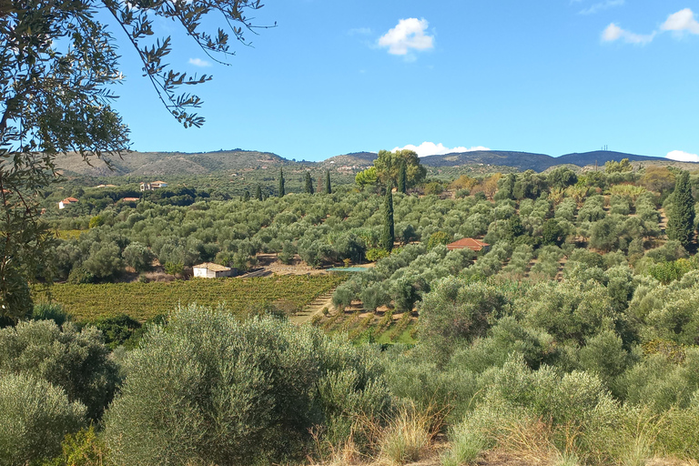Varied 11-km hike around Koroni: nature, views, beaches