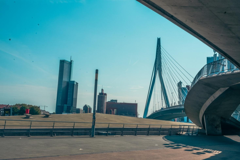 Rotterdam: PRIVATE Highlight & Hidden Gems Walk With Local
