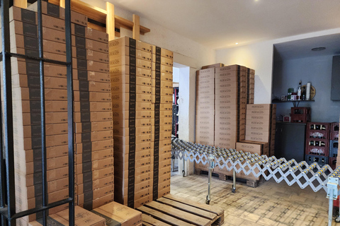 Loire Valley Wine Tour from Paris: 2 Wineries & 10 Tastings Premium Option