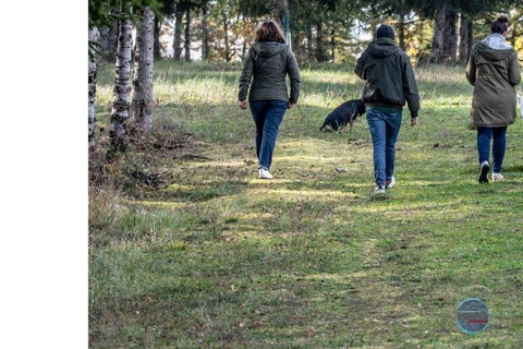 Escape Game en Gondrin