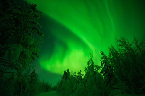 Rovaniemi: Northern Lights Tour – Guaranteed with Photos Small-Group Northern Lights Tour – Guaranteed with Photos