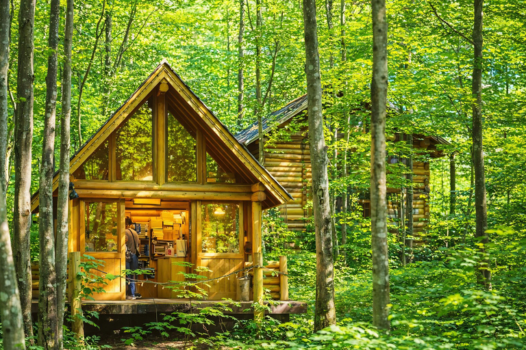 Hokkaido Asahiyama Zoo & Blue Pond Tour & Ningle Terrace 8:00 am meet at Odori Park subway station exit 31