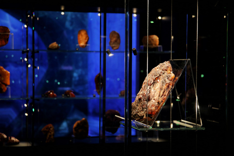 Exclusive Gdańsk: Museums, Skyline Toast & Michelin Dinner