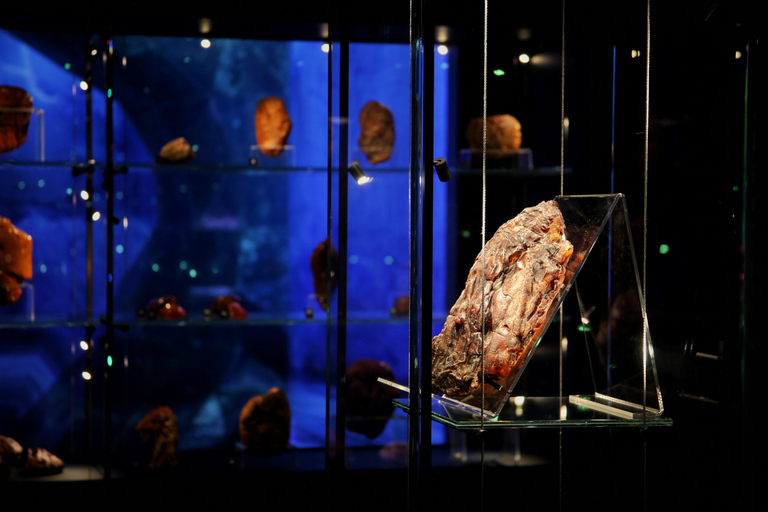 Exclusive Gdańsk: Museums, Skyline Toast & Michelin Dinner