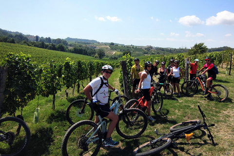 Gavi: E-Bike Tour with Wine Tasting