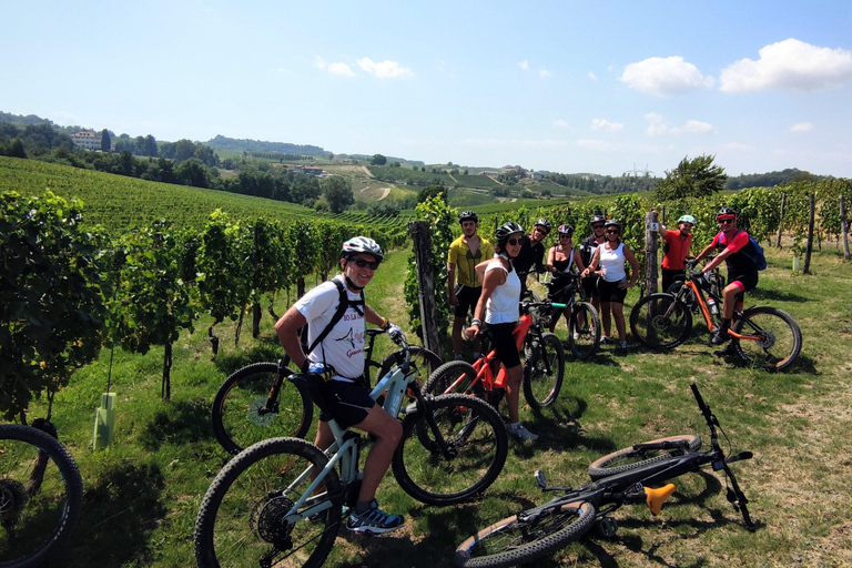 Gavi: E-Bike Tour with Wine Tasting