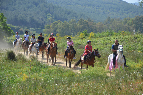Pamucak: Horseback Riding Tour with Beach Swim