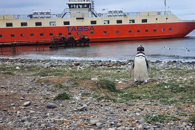 Magdalena Island Natural Monument Tour