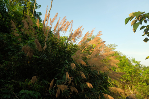 会安：越野摩托车探险之旅（含瀑布）