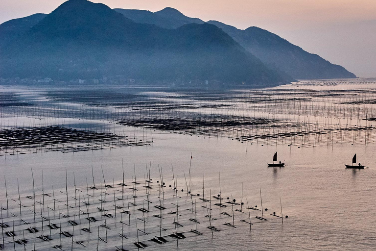 Tokyo: Private Mt. Fuji Luxury Day Tour – Fully Customizable Luxury Land Cruise Customizable Tour