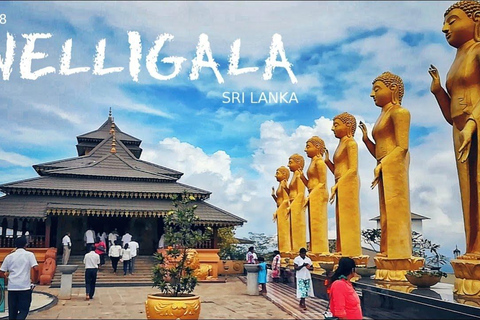 Tour di 3 giorni da Kandy, Sigiriya , Nuwara Eliya , KandyTour di 3 giorni in minivan AC