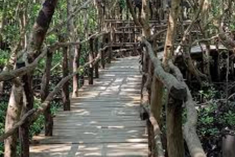 Zanzibar: Jozani & Salaam Monkeys, Mangroves & Secret Beach