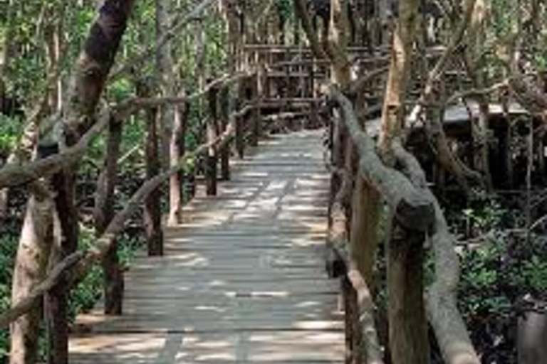 Zanzibar: Jozani & Salaam Monkeys, Mangroves & Secret Beach
